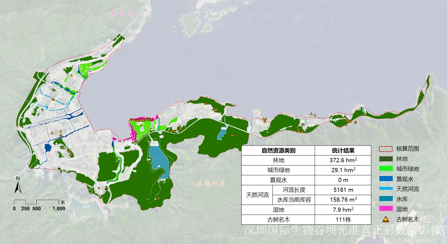 广东·深圳 大鹏新区国际生物谷坝光核心启动区生态系统修复提升策略研究